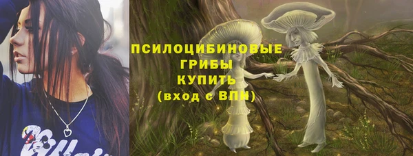 тгк Арсеньев