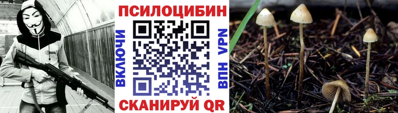 Купить закладки  Верхнеуральск  Галлюциногенные грибы Psilocybine cubensis 
